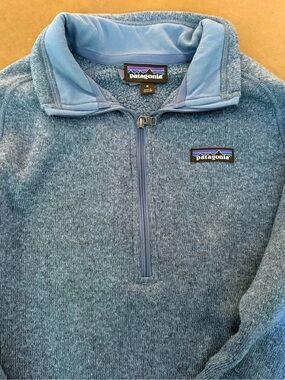 Patagonia Men’s Sky Blue Half-Zip Fleece Pullover